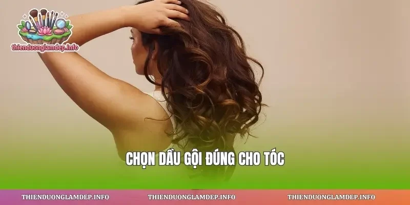 Chọn dầu gội đúng cho tóc