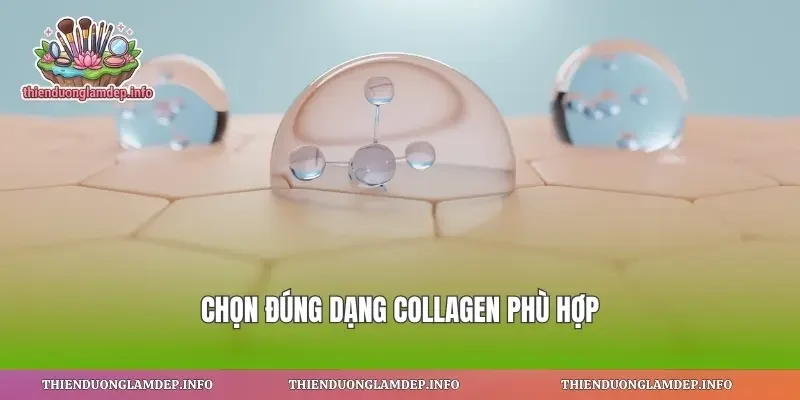 Chọn đúng dạng collagen phù hợp
