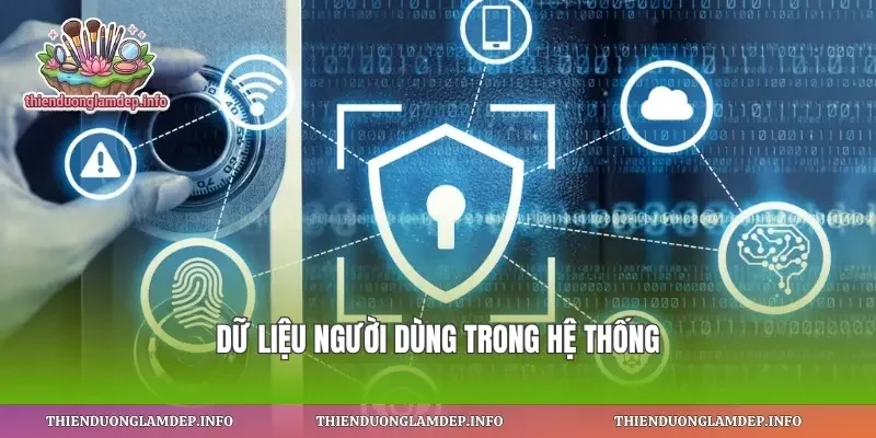 Dữ liệu người dùng trong hệ thống