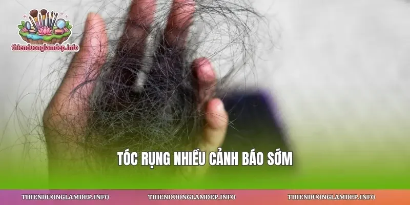 Tóc rụng nhiều cảnh báo sớm